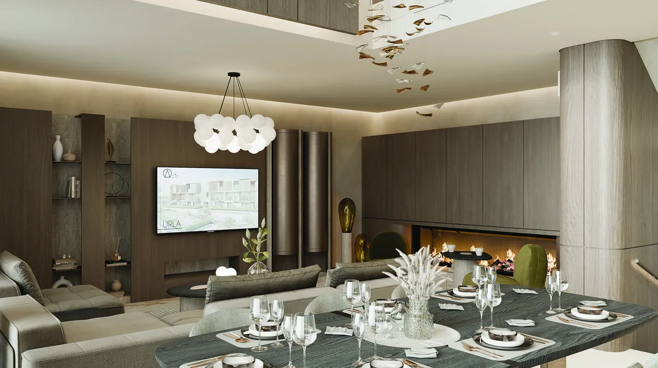 Salon ve şömine